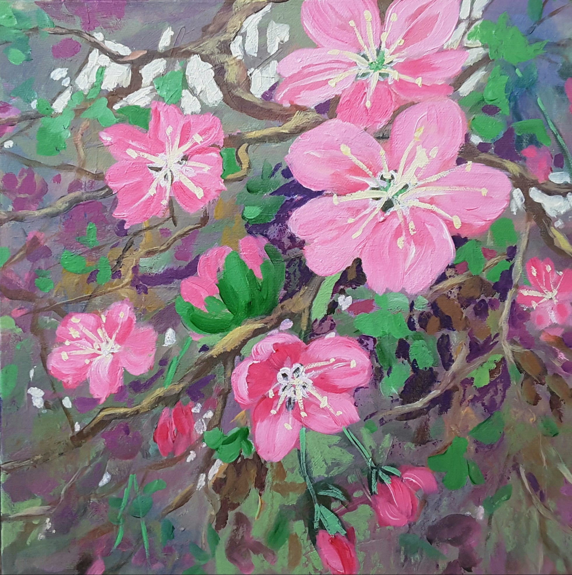 pina manoni-rennick ~ Cherry Blossom I