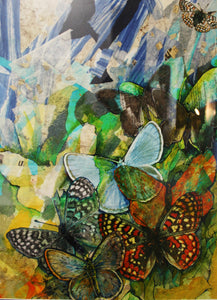 elisabeth arbuckle ~ Butterflies are Free (sold)