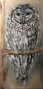 justin shulist ~ Fowler (owl) (sold)
