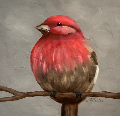 susan reiter ~ House Finch (sold)