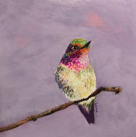 elisabeth baechlin ~ Nico the Hummingbird