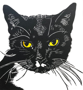 susan mw cartwright ~ Untitled (Tuxedo Cat)